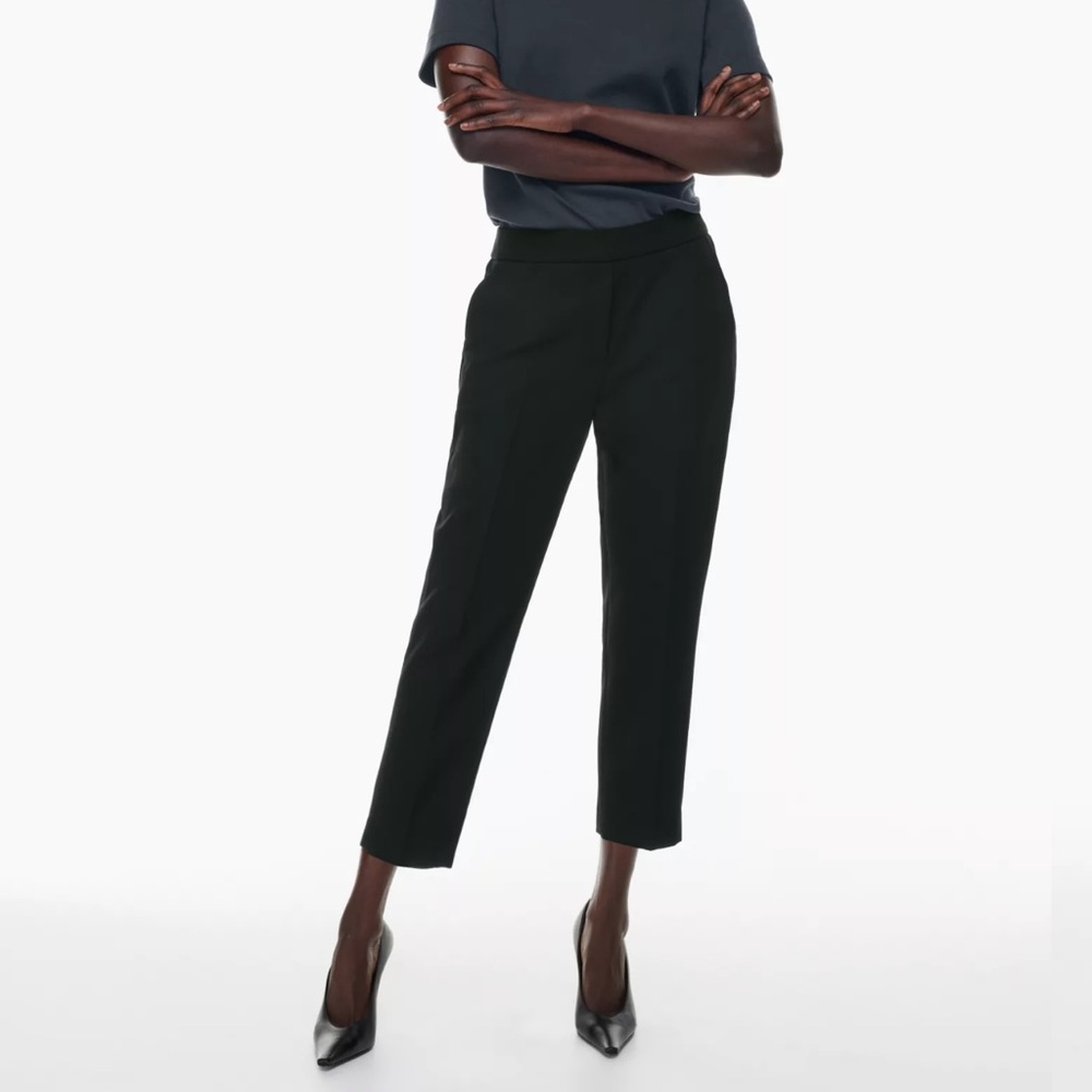 Aritzia Babaton Conan Pant | size 6